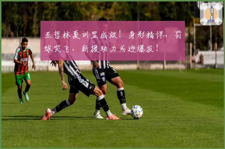 王哲林夏训显成效！身形精悍，罚球突飞，新援助力或迎爆发！