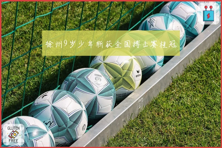 徐州9岁少年斩获全国搏击赛桂冠