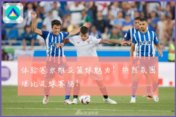 体验塞尔维亚篮球魅力！热烈氛围堪比足球赛场！