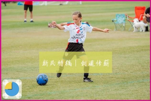 新民特稿丨剑道传薪